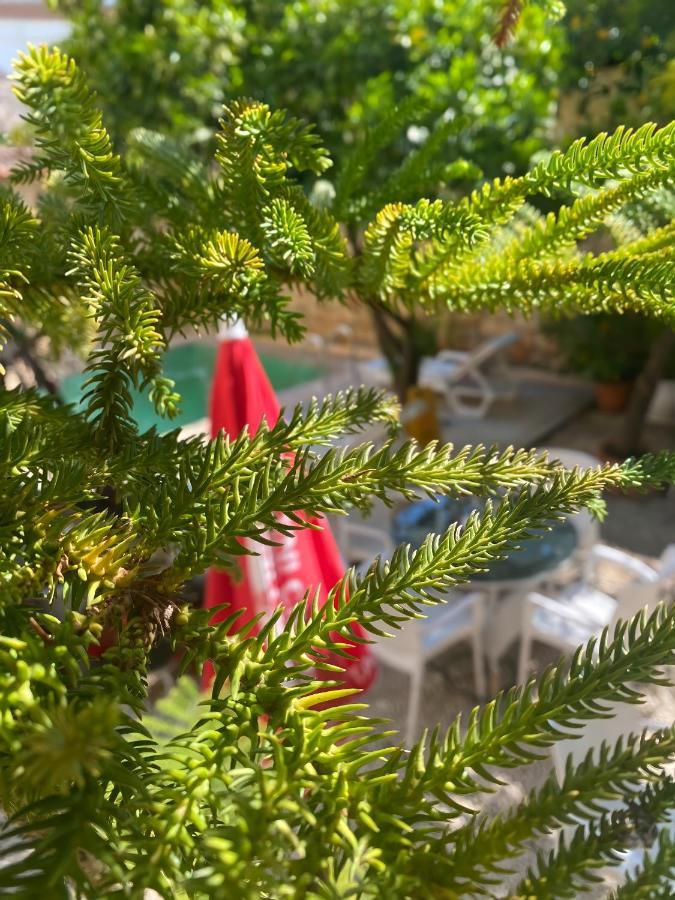 Kaleici Hotel Antalya Eksteriør billede