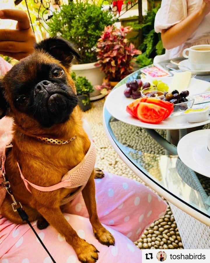 Kaleici Hotel Antalya Eksteriør billede