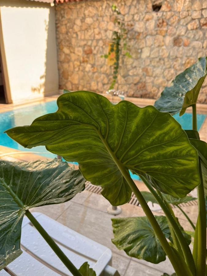 Kaleici Hotel Antalya Eksteriør billede